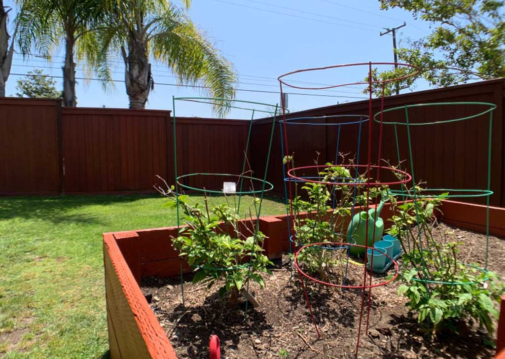 los angeles sober living