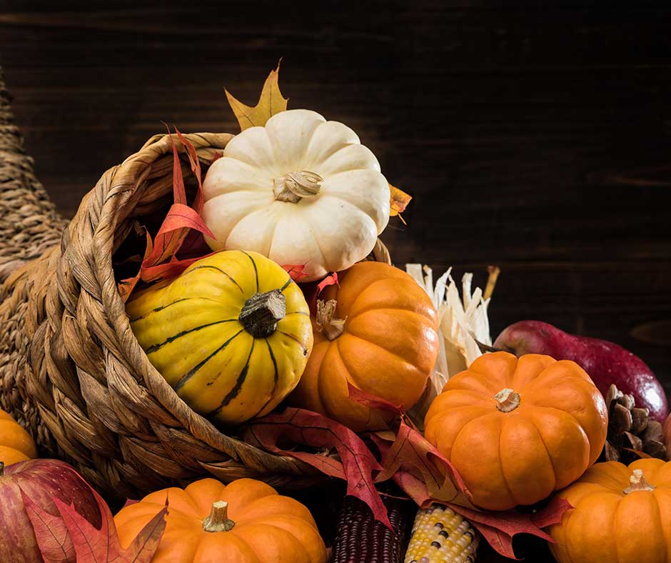 Gratitude – Not Just During the Holidays