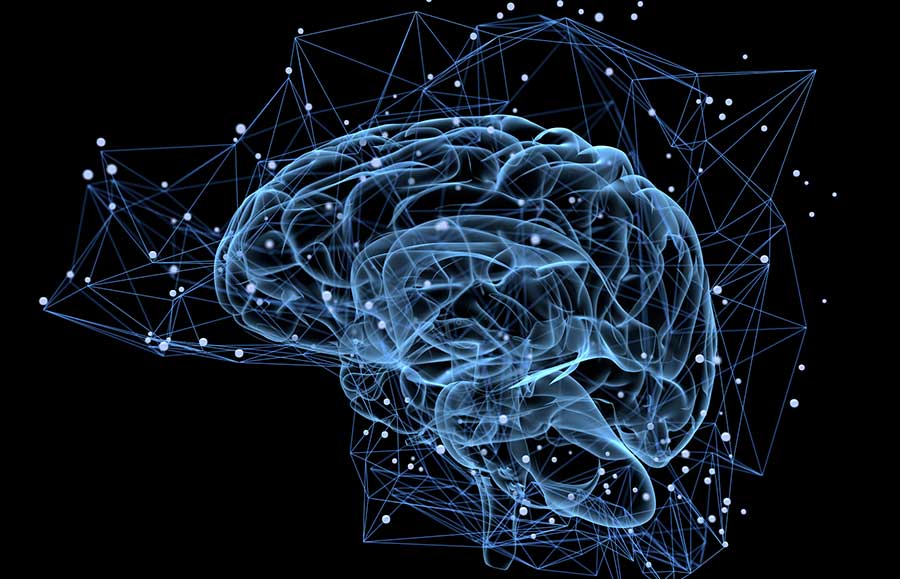 The Neuroscience of Recovery