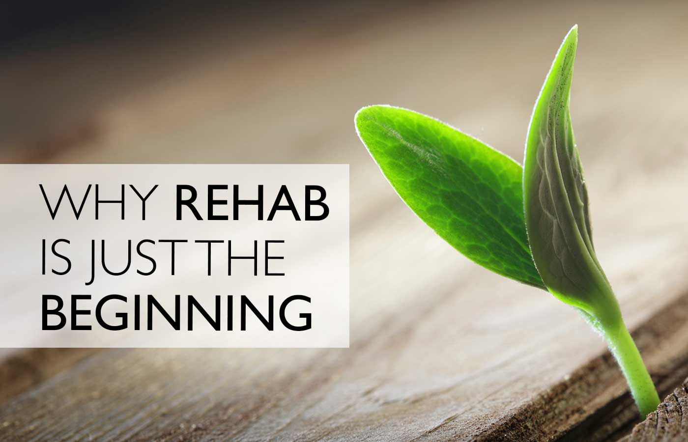 Why Rehab is Just the Beginning