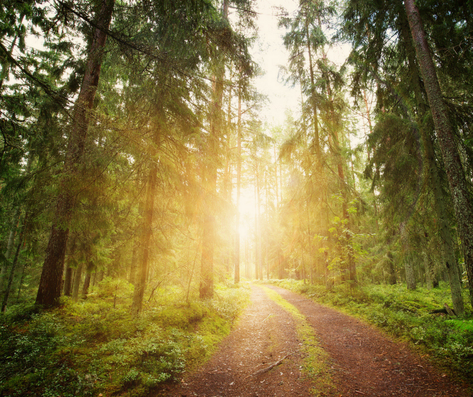 Walking “The Path”