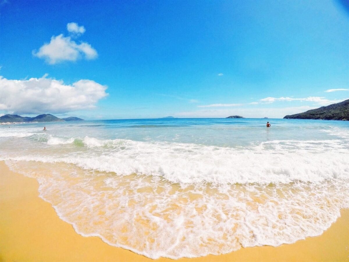 Alcohol Addiction New One